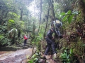 IMG-20220717-WA0005