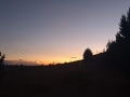 IMG-20200913-WA0013