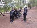 IMG-20210712-WA0029