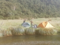 IMG-20210117-WA0016
