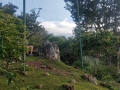 20240804_070652-2