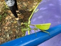 shared-image-5
