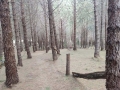 IMG-20230730-WA0051