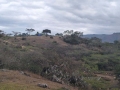 IMG-20231001-WA0016