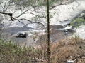 IMG-20231001-WA0017