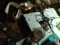 IMG-20231001-WA0024