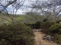 IMG-20231001-WA0057