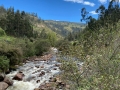IMG-20211107-WA0019