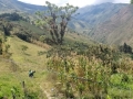 IMG-20200816-WA0040