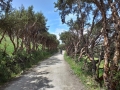 20190309_110841