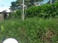 20160812_151819