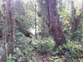 20160812_170544